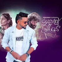 Ruhunu Dumriye (Remix)