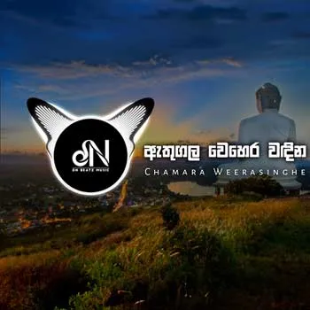 Athugala Wehera Wadina (Remix)