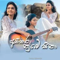 Akikaru Numbe Sina (Mushup Cover)