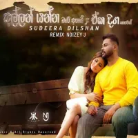 Allan Yanna Bari Athak X Eka Diga Kathawak (Remix)