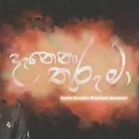 Danena Thuru Ma (Cover Song)