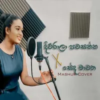 Diuarala Pawasanna x Seda Mawatha (Mashup)