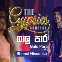 Galu Pare (The Gypsies Concert)