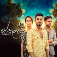 Hethukaari