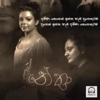 Nethra