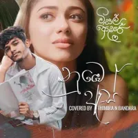 Numbe As (Visal Adare Cover)