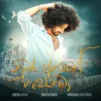 Nuwara Ahasath Hadanawa (Acoustic Version)