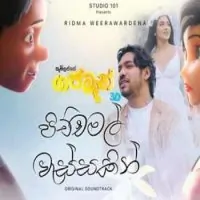 Pichchamal Wassakin (Gajaman Movie)