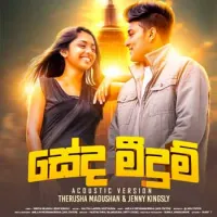 Seda Meedum (Acoustic Version)