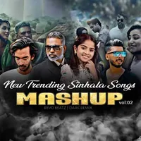 Hits Of 2025 (Sinhala Mashup)
