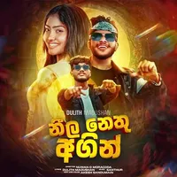 Neela Nethu Agin