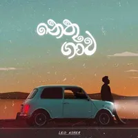 Nethu Gawa