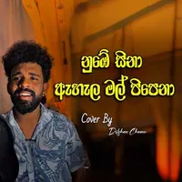 Nube Sina x Ahala Mal Pipena (Mashup)