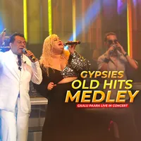 Old Hits Medley