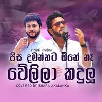 Pisa Damannata One Na (Cover)