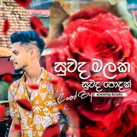 Suwada Malaka (Cover) TikTok Hitz