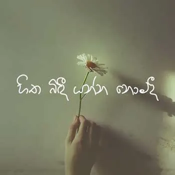 Eya Wasanthaya Nowe