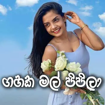 Gahaka Mal Pipila (Cover) by Sarani Marasinghe – Sinhala song cover