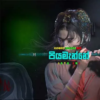 Piyamanne Reggae Slowed Mix