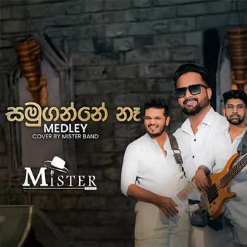 Namal Udugama Medley (Mister Band Live)