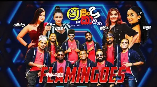 Shaa FM Sindu Kamare with Flamingoes